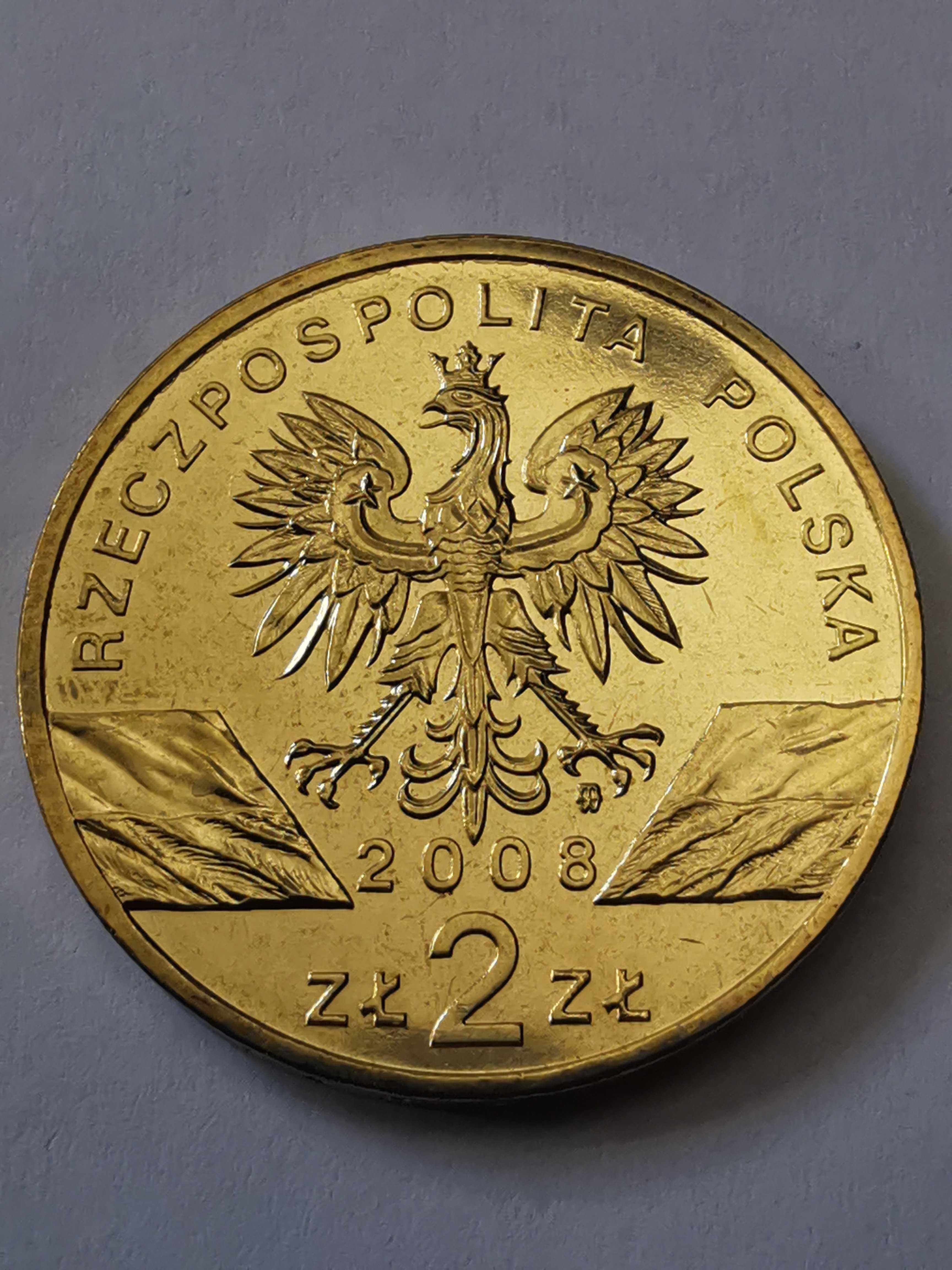 2zł 2008r. - Sokół wędrowny - stan bardzo dobry, nordic gold