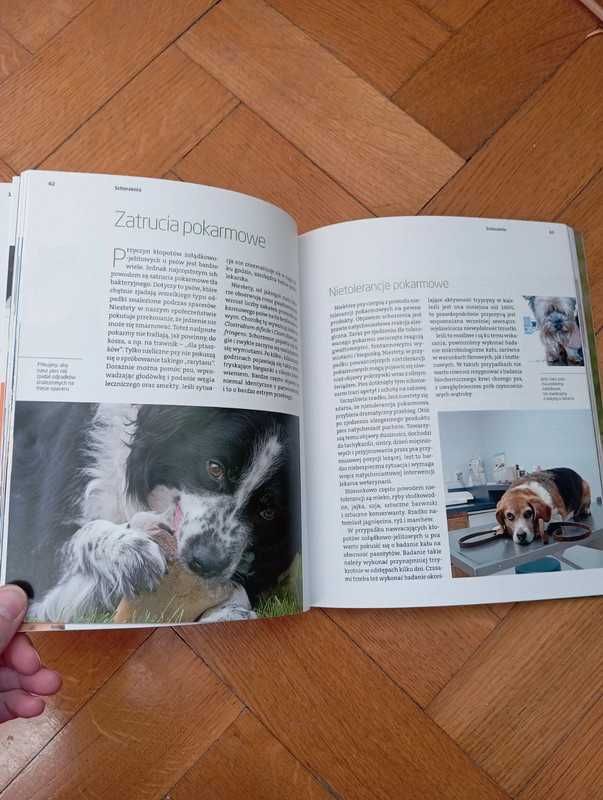 Jak dbać o zdrowie psa - Artur Dobrzyński