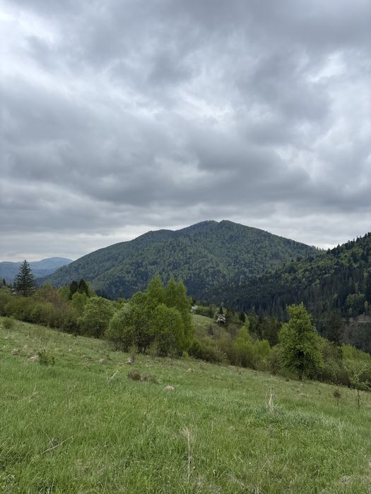 Продаж землі в карпатах