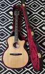 Guitarra TAYLOR 314ce-N + Case