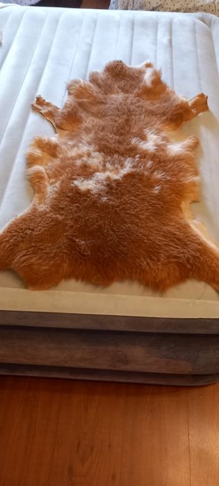 Tapetes  Serra da Estrela