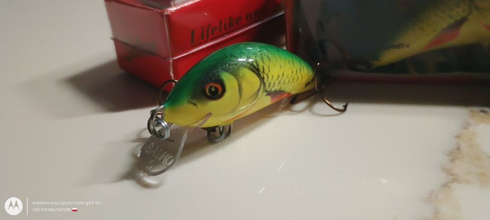 Salmo Hornet H4S YD  ( SINKING ) 2SZT._ NOWE !