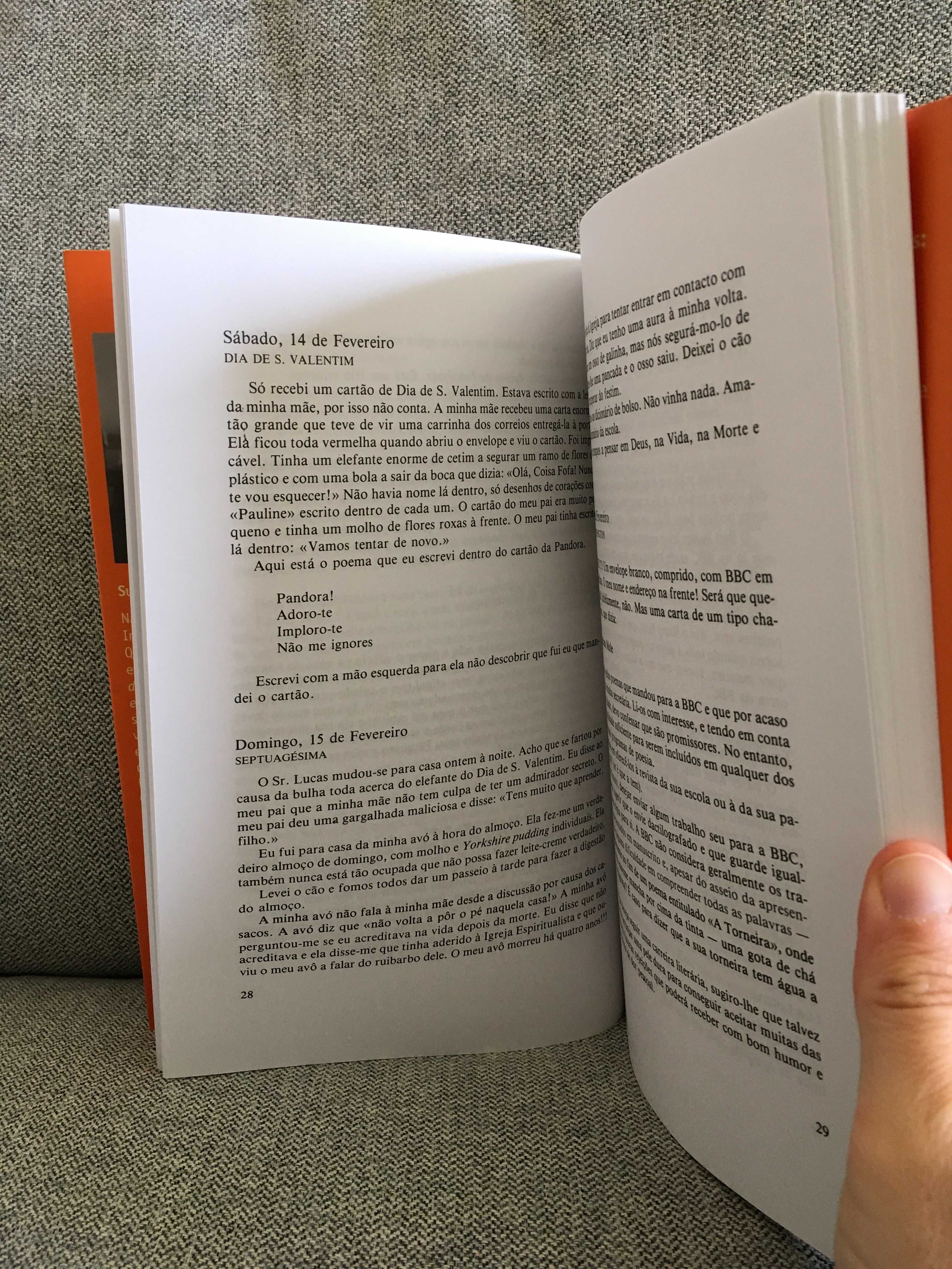 O diário secreto de Adrian Mole aos 13 anos e 3/4 - Sue Townsend