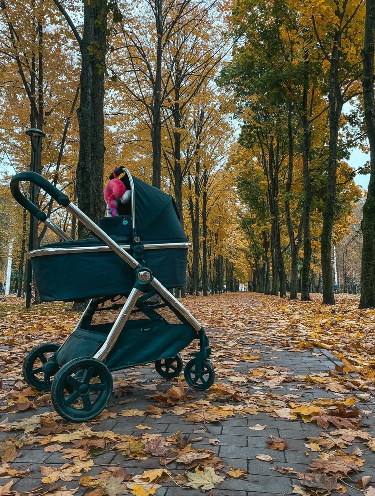 Коляска 2в1 John Levis