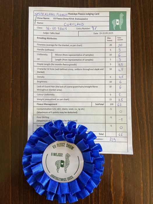 Alpaka, alpaki  samica sprzedam