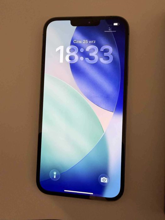 iPhone 13 Pro Max