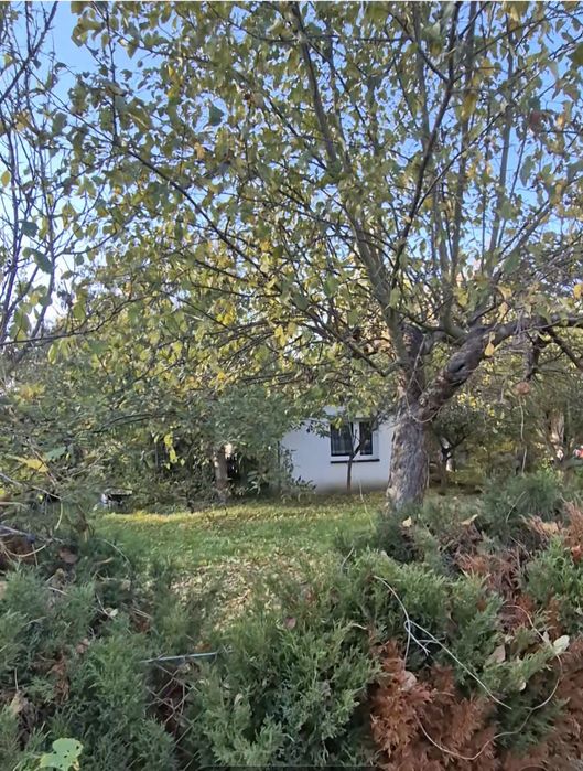 Działka ROD im. Paszkowiaka w Poznaniu, 550m²