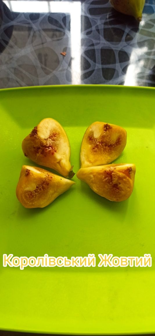 Інжир плоди смачний