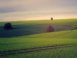 2 гектари землі 500$ гектар