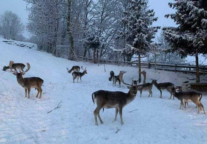 Pobyt we włoskich Alpach. Wczasy we Włoszech. Alpy. Włochy.