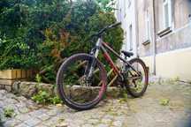 Rower Dirt/Street Kellys Whip 50