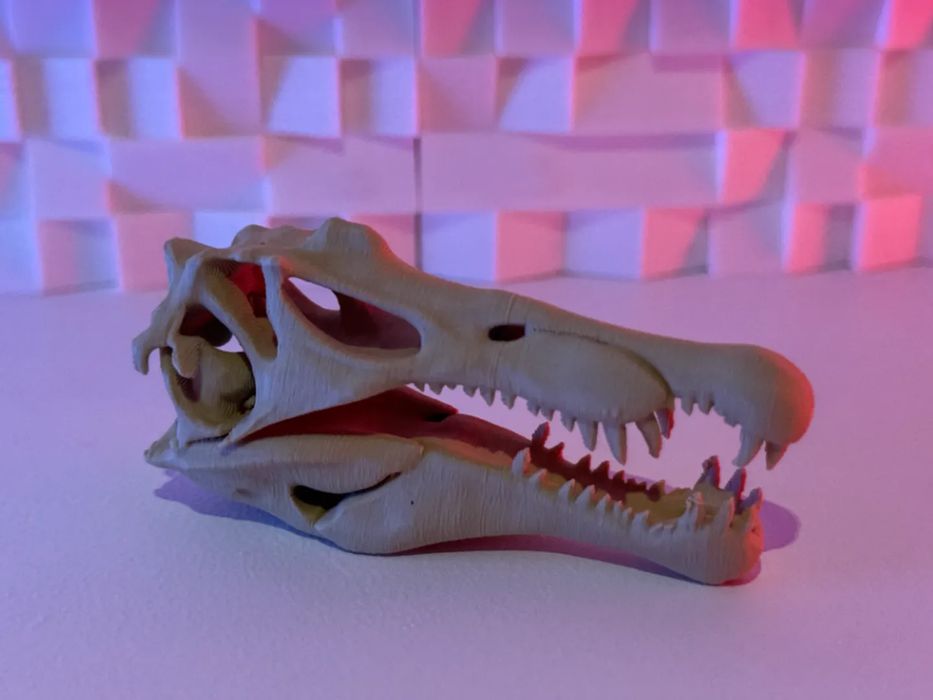 Crânio de Spinosaurus em Miniatura