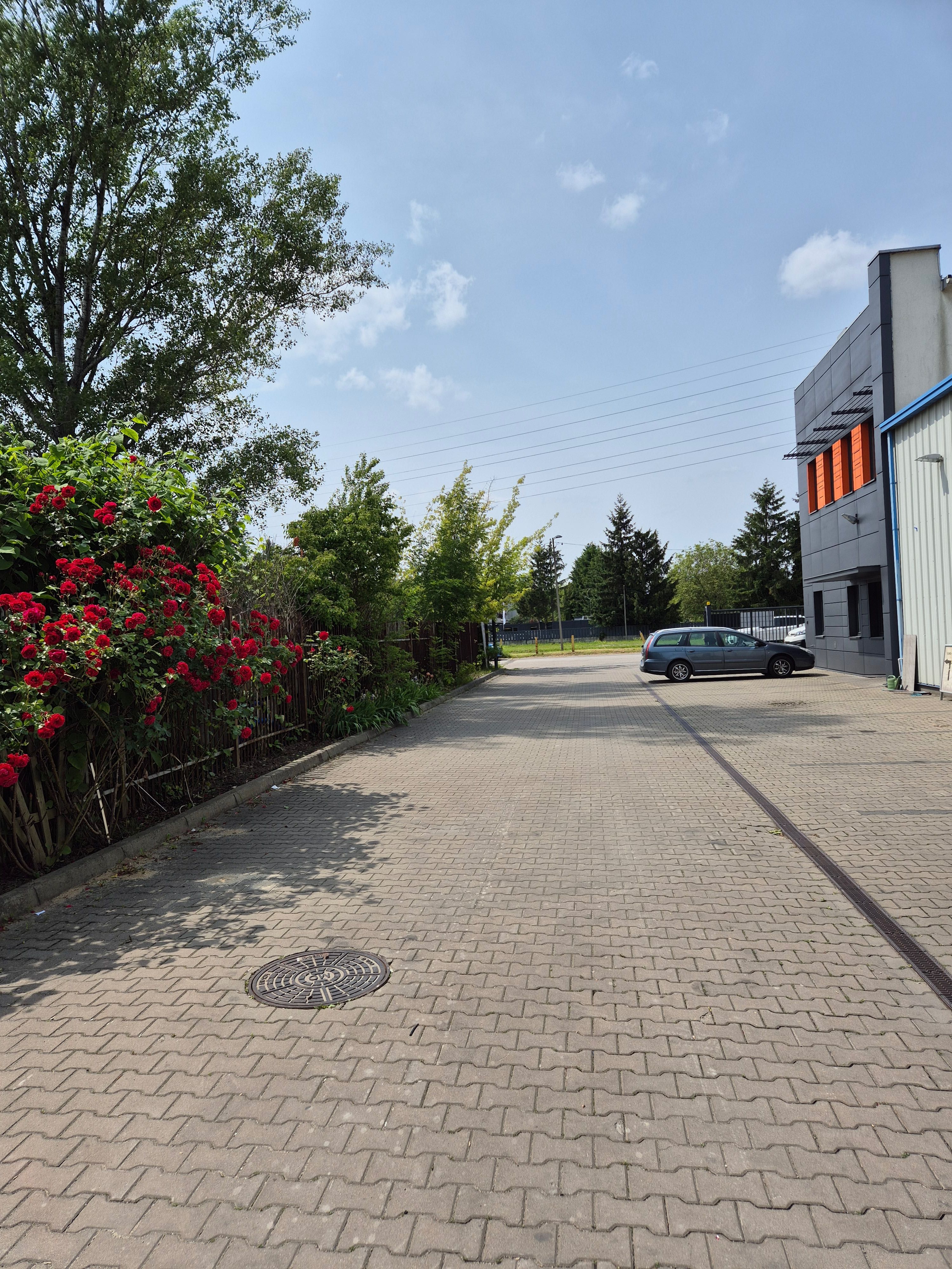 Magazyn 100 m2, 90-180 miejsc paletowych, Mokotów