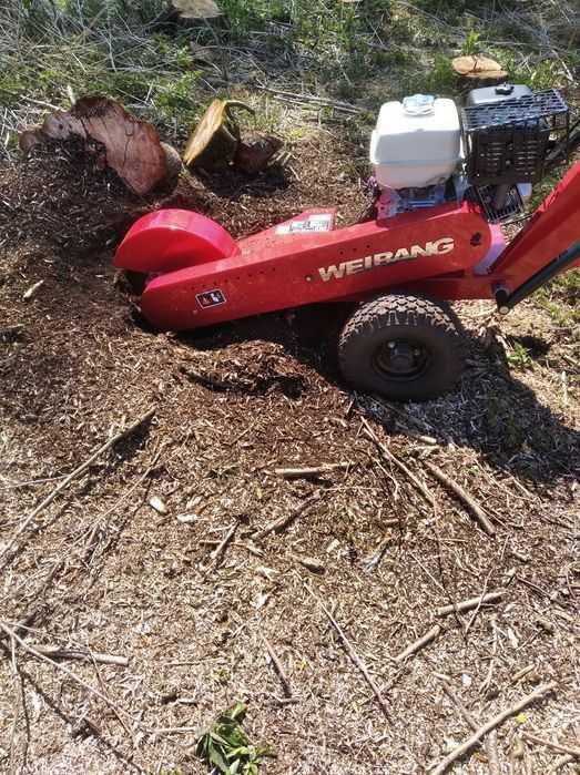 Usługi ogrodnicze, zakładanie, koszenie trawników, frezowanie pni