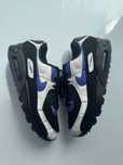 Кроссовки Nike Air Max 90 Persian Violet
