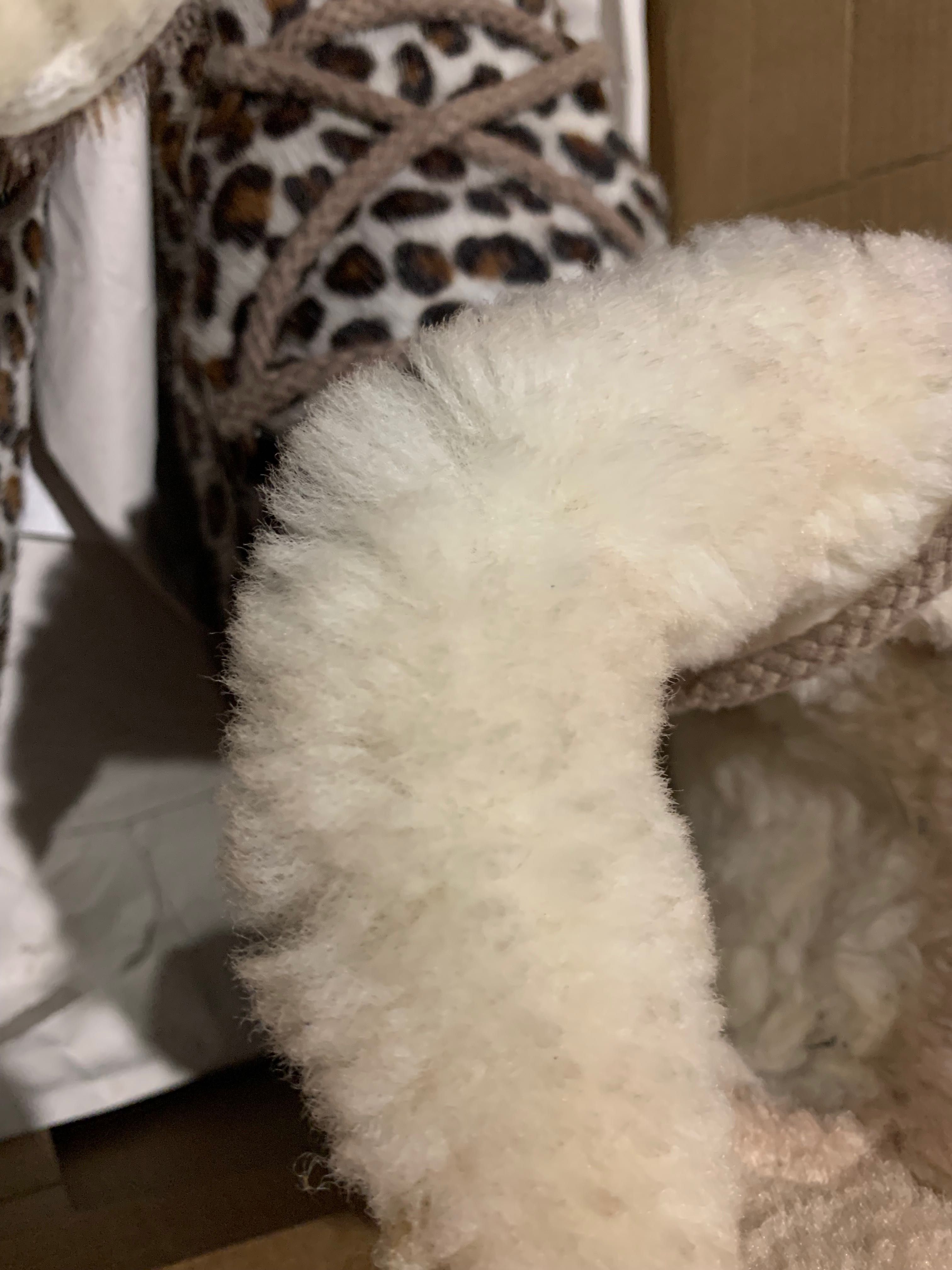 Сапоги , угги , moonboots, зимние сапоги , felini