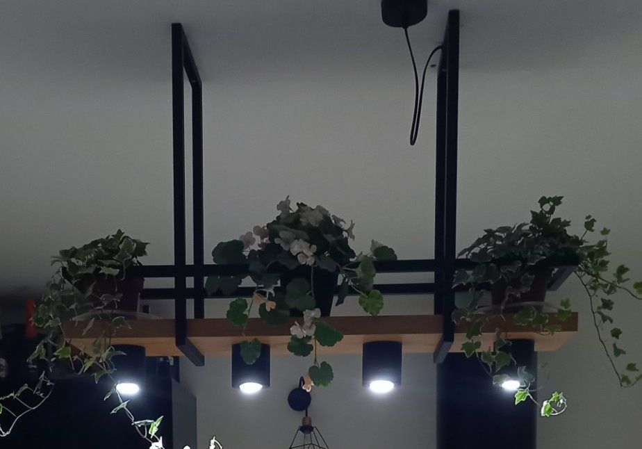 Lampa kwietnik nad stół, wyspę, podsufitowa loft industrial.