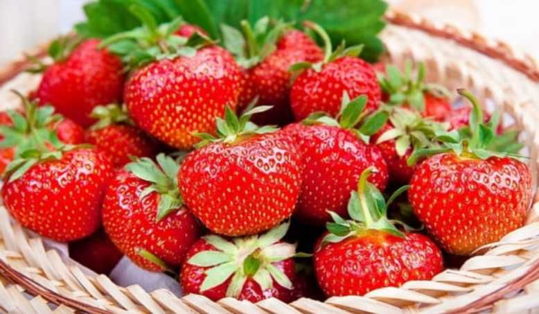 Miód z dodatkami SUPER CENA - Truskawka 950g DUZY SŁOIK