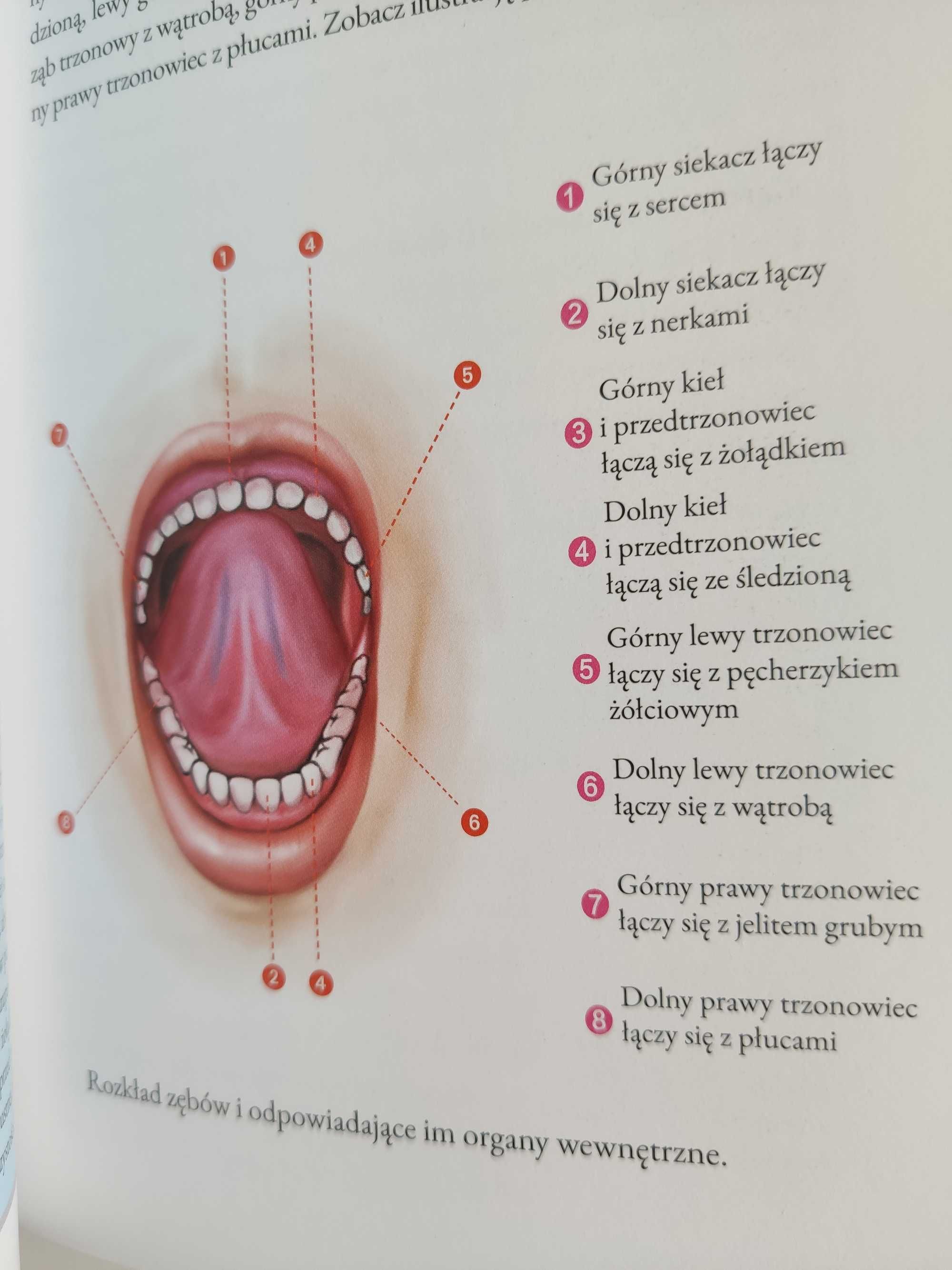 Diagnozowanie chorób z twarzy. Naturalne leczenie zgodnie z Chin Nowa