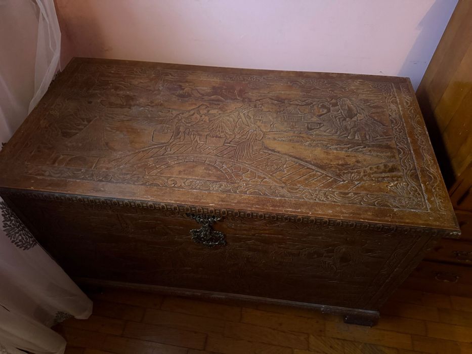 Mala bonita intemporal