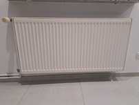 Kaloryfer  60x110