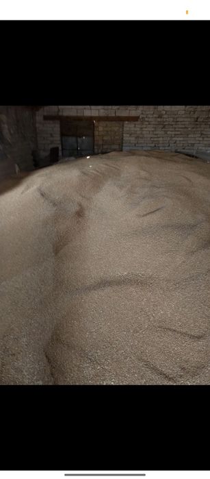 Продам пшеницу по 10 гривен