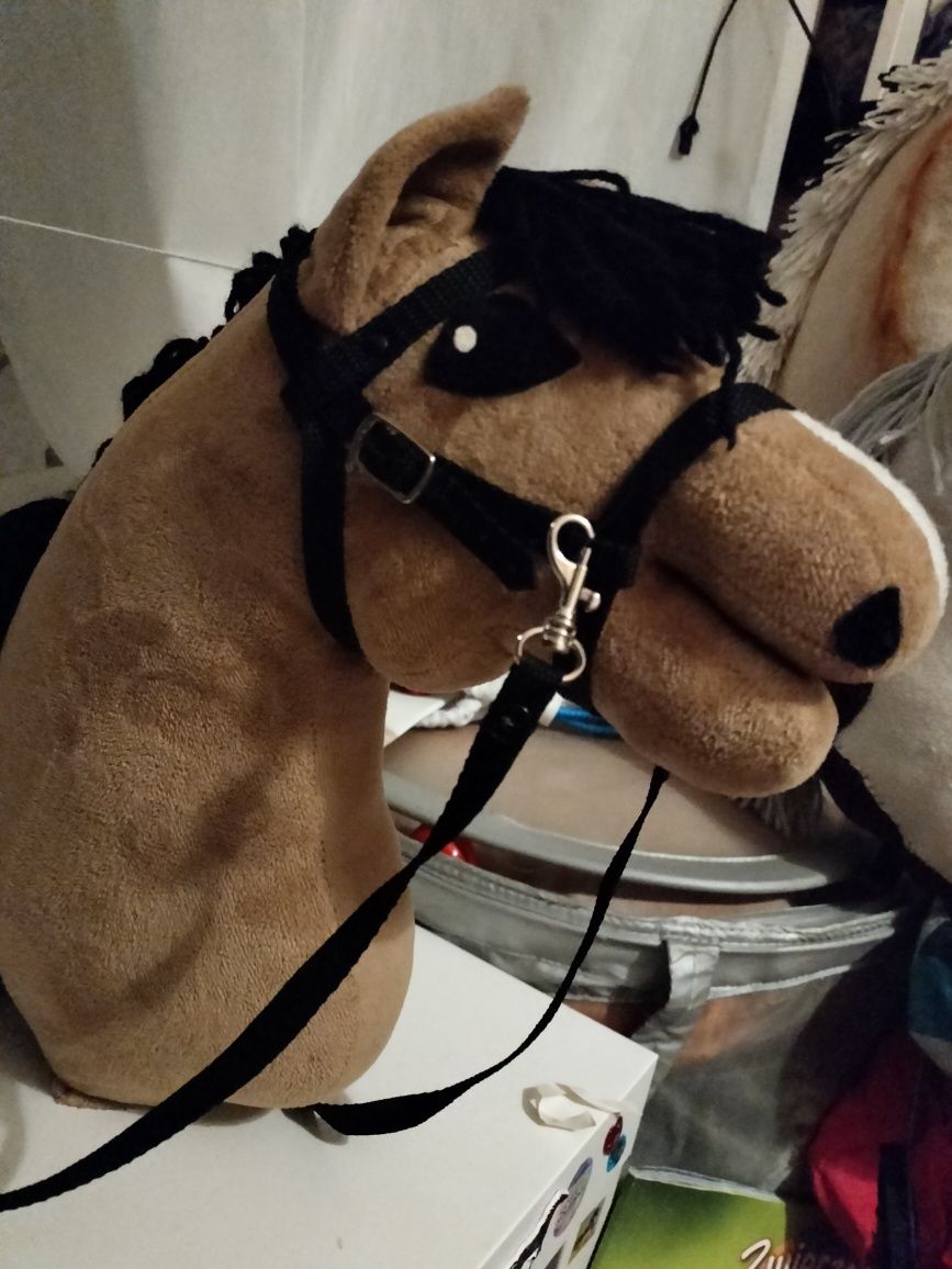 Hobby horse hh agi z ogłowiem