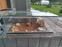 Terrarium dla żółwia jaszczurki gada