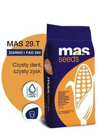 Kukurydza na ziarno Mas 29.T 29T Mas Seeds