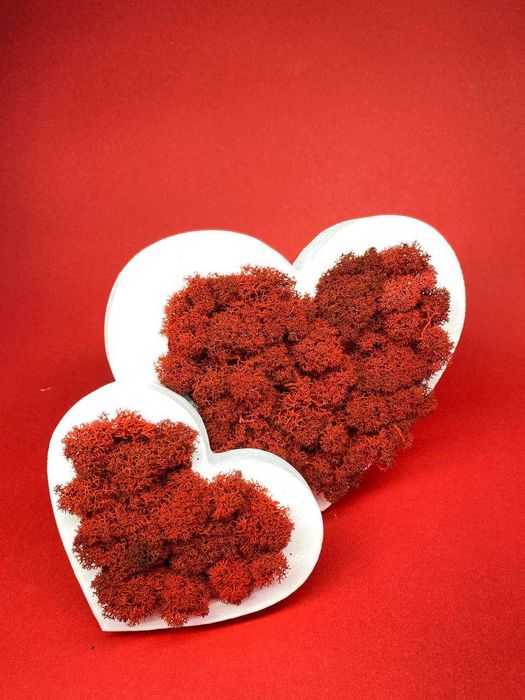 Деревянное сердце из стабилизированного мха.Декор из мха