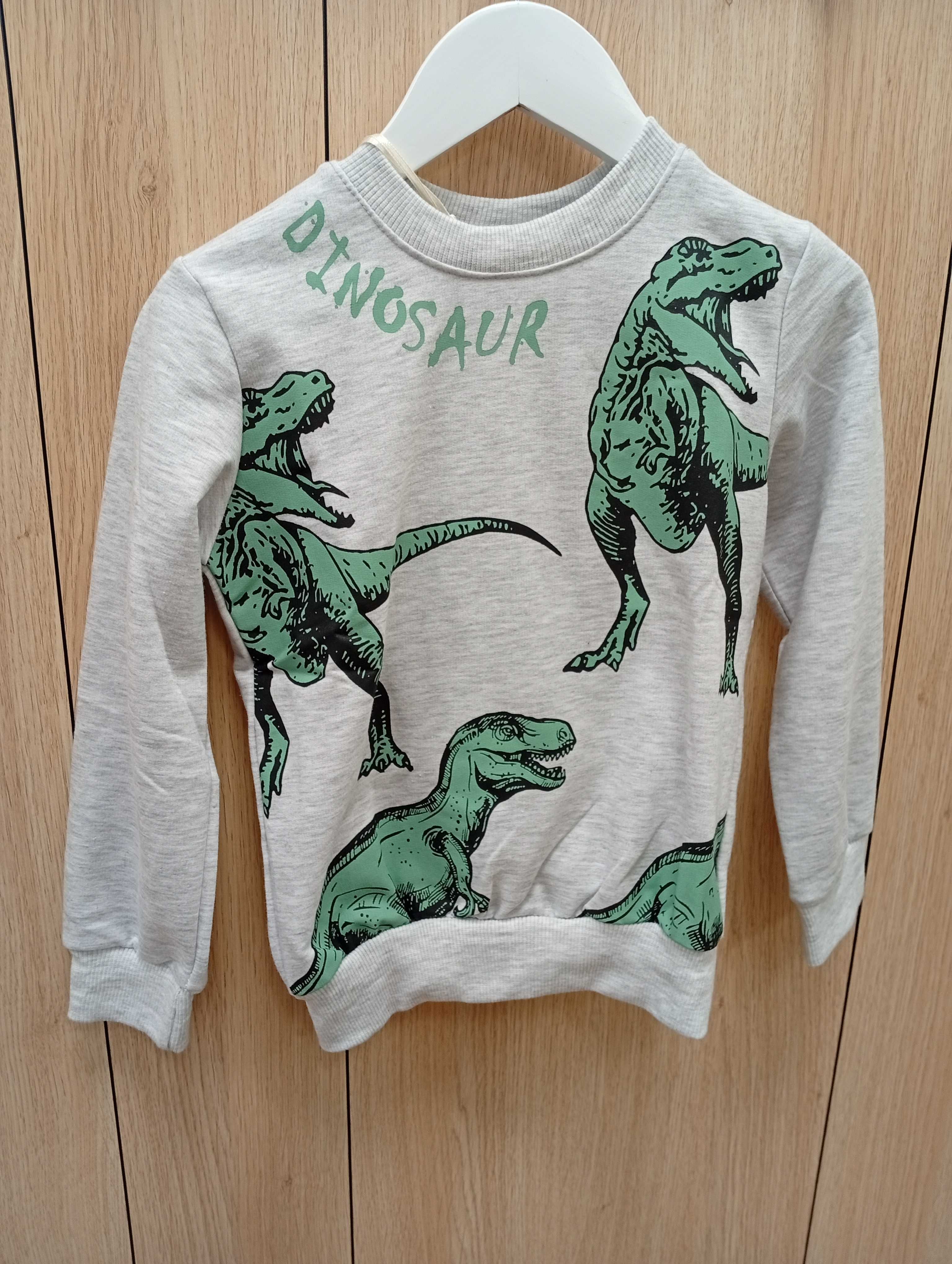 Komplet chłopięcy dinozaury 4-5 lat