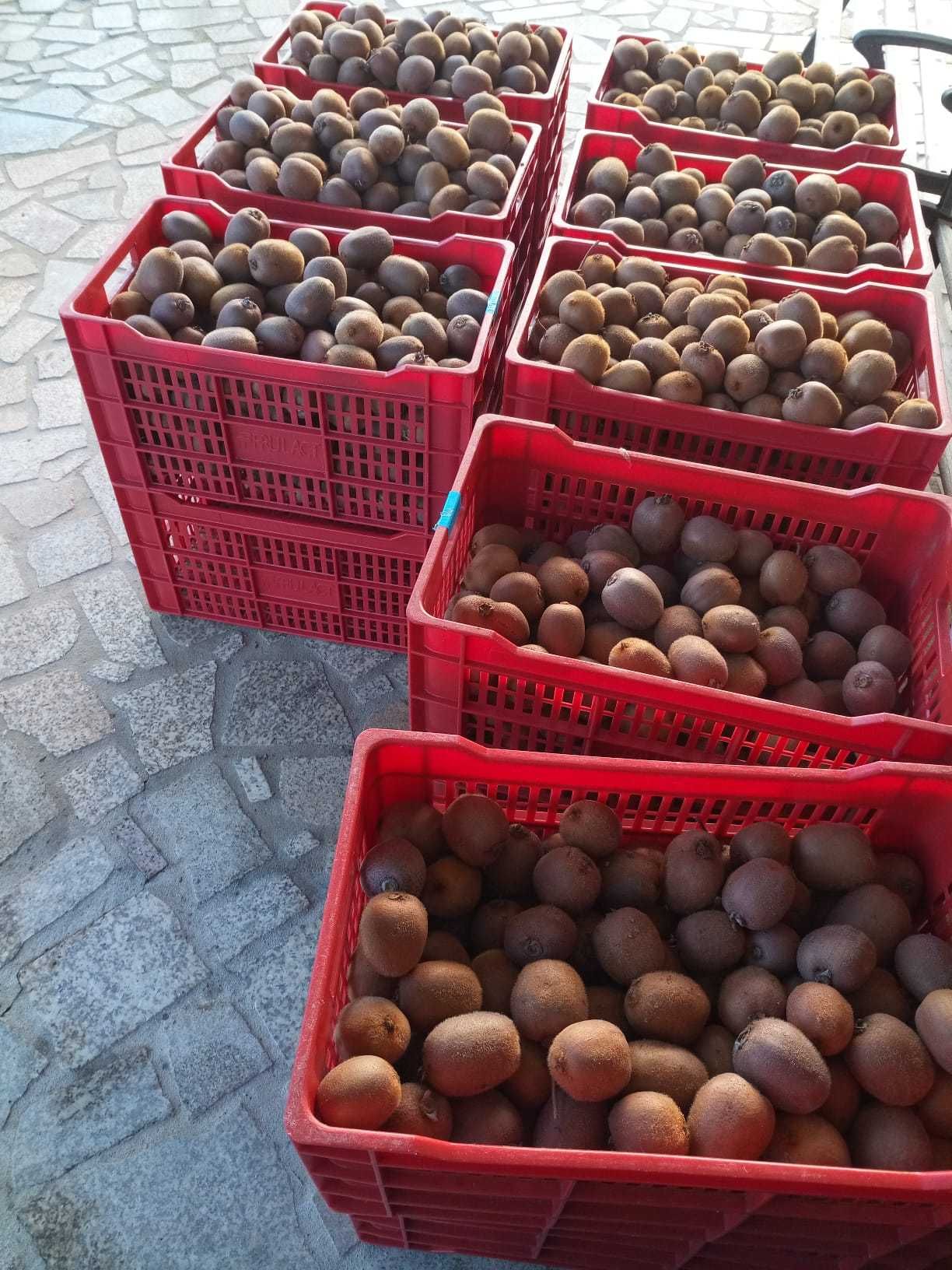 Kiwi sabor VIP Topo Qualidade, Zero Pesticidas !
