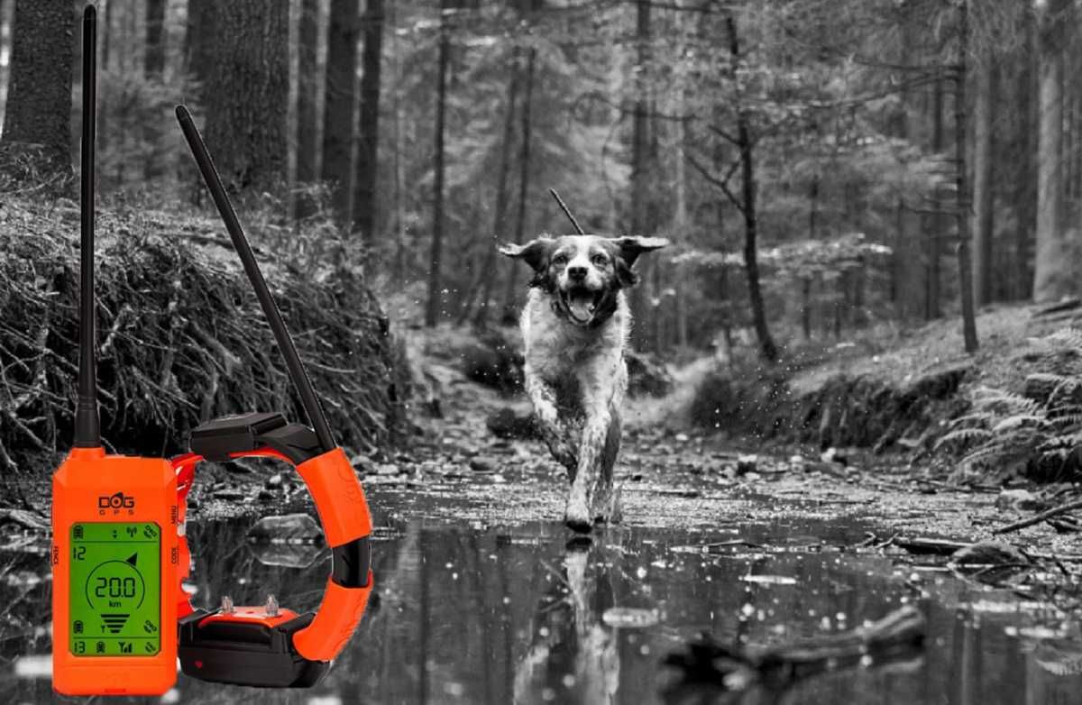 GPS dla psa Dogtrace DOG GPS X30T z modułem treningowy