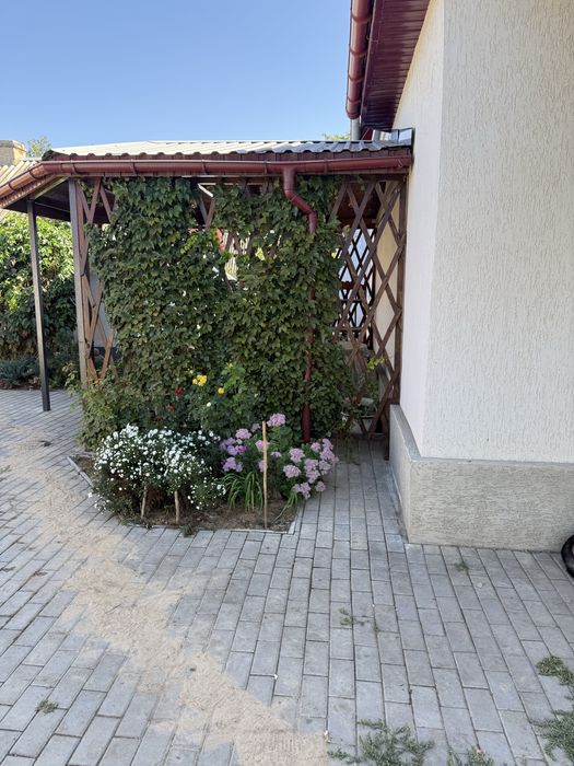 Продаж будинку, село Лепетиха, Баштанський район