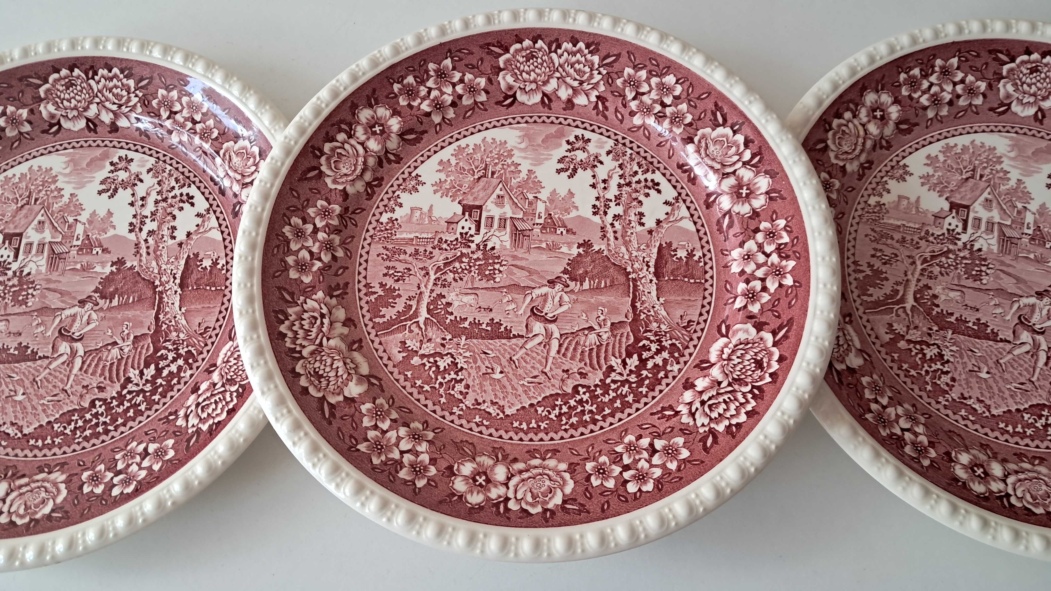 Talerze obiadowe villeroy&boch rusticana