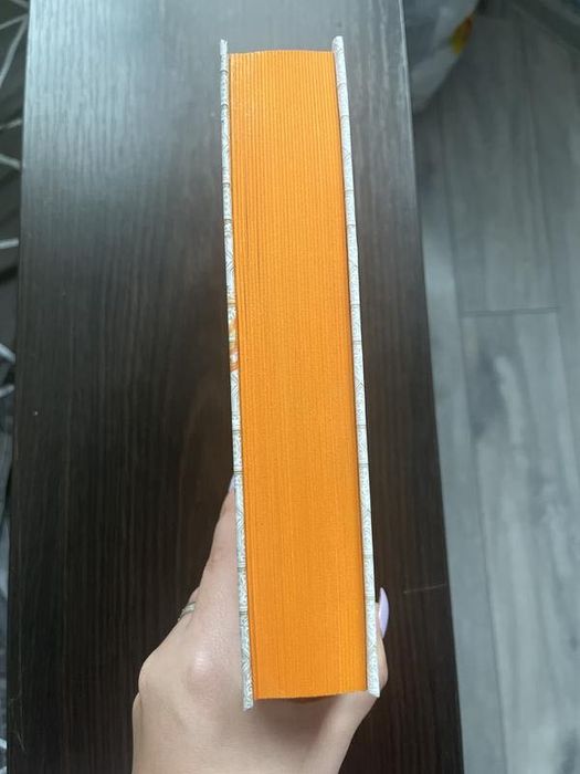 Книга «Крадій зоряного пилу» Челсі Абдулла