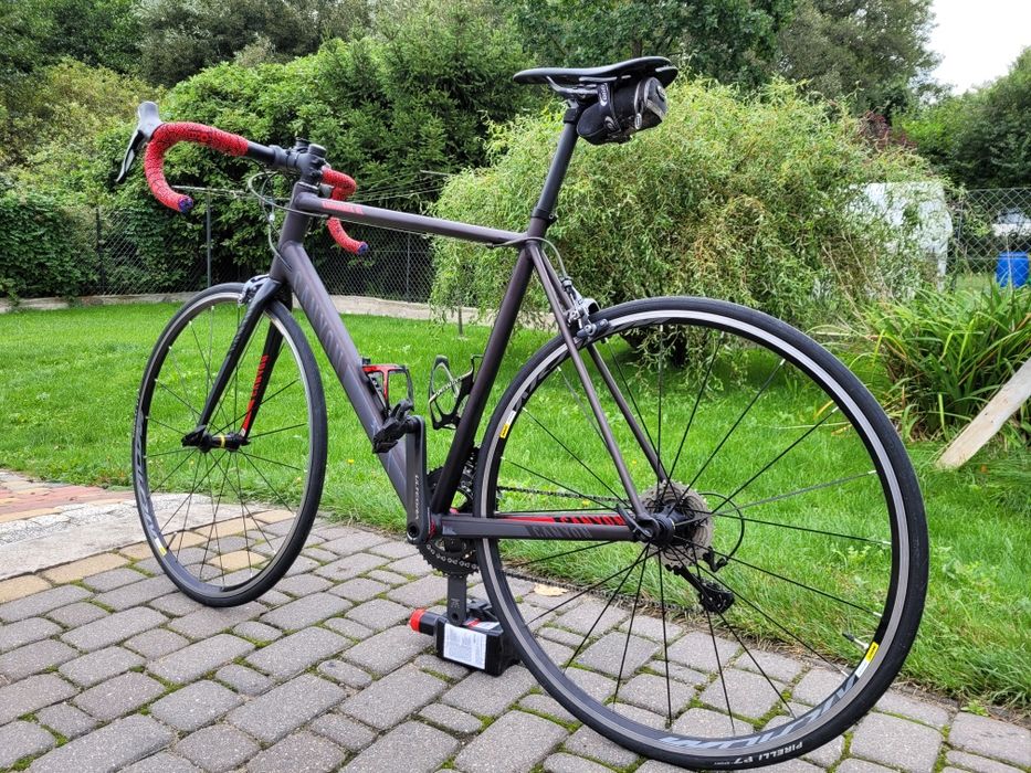 Rower Canyon Endurace AL