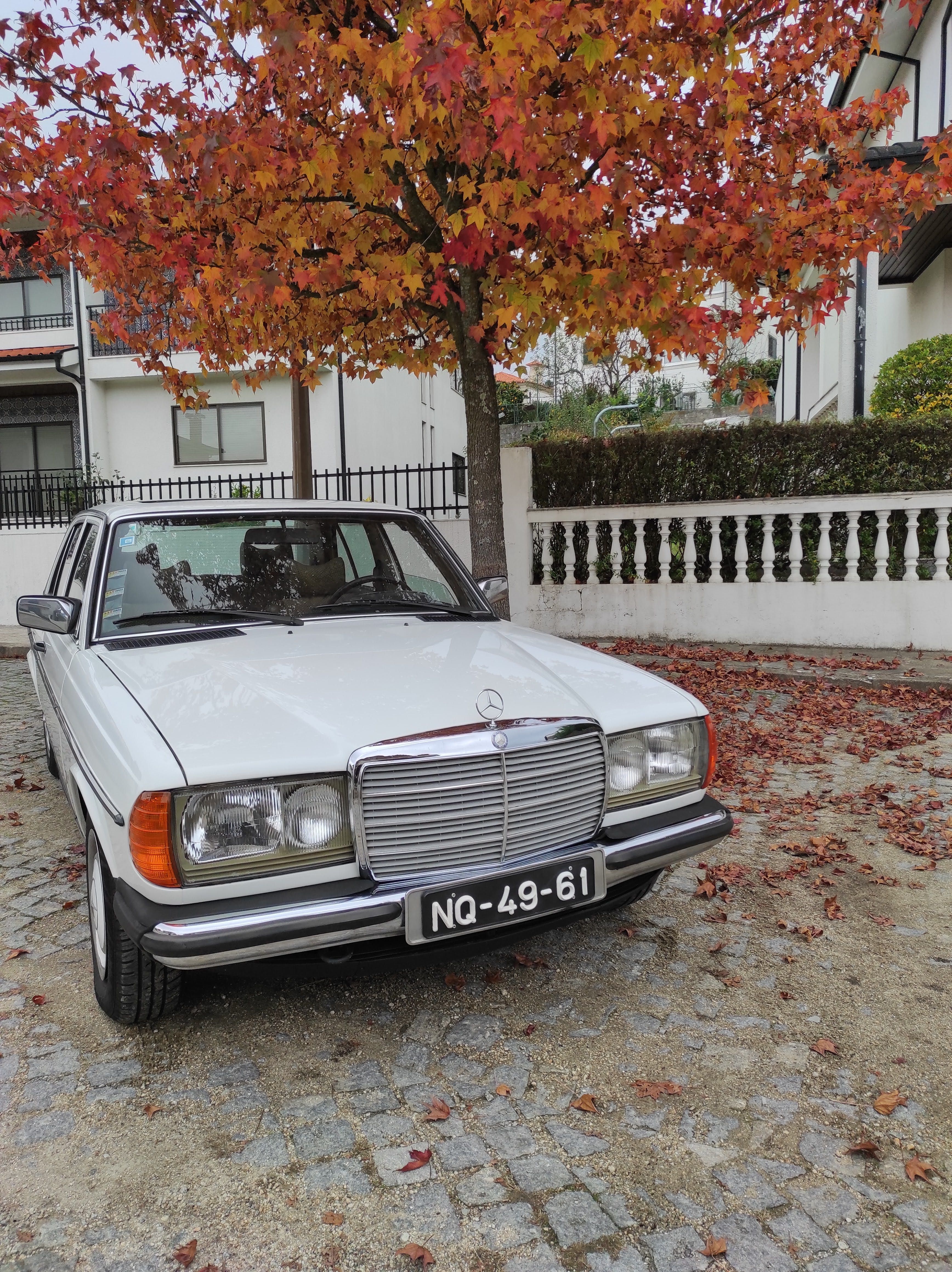 Carro Clássico Mercedes Benz 200 (123) - 1976