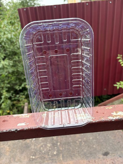 Контейнери пластикові , лотки  харчові