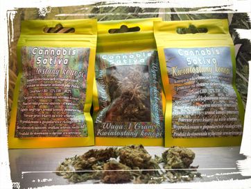 Cannabis Sativa CBD > 12% Eko susz z Kwiatostanów Konopi 1 Gram