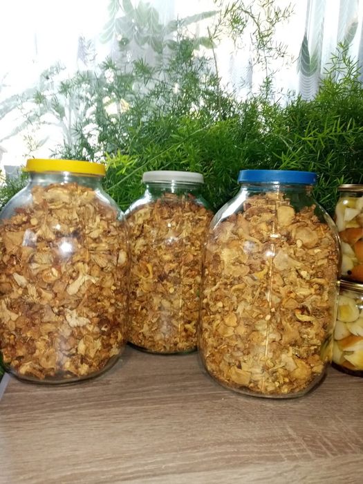 Сушені лисички гриби