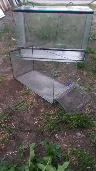 Terrarium dla jaszczurki gryzonia pająka węża chomika myszki