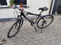Rower górski miejski MTB FOCUS 28 "
Model Avanti 
7 biegow 
R