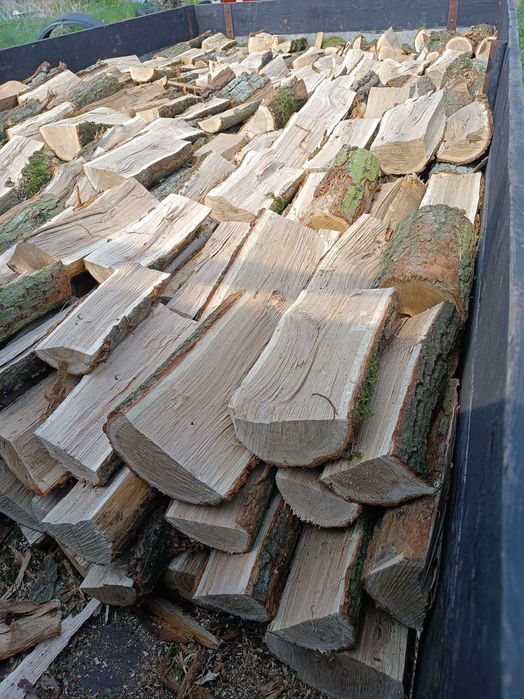 Drewno opalowe kominkowe