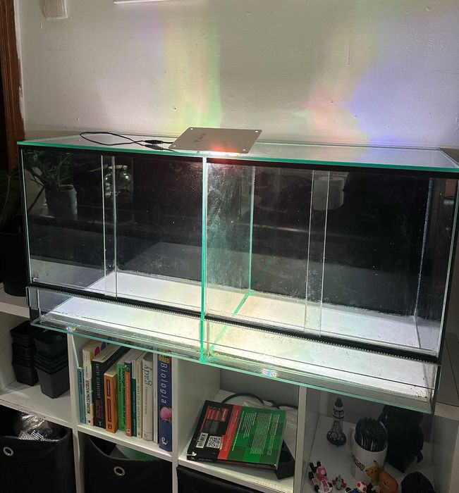 Terrarium szklane - duże drzewołazy gekony jaszczurki wąż rośliny