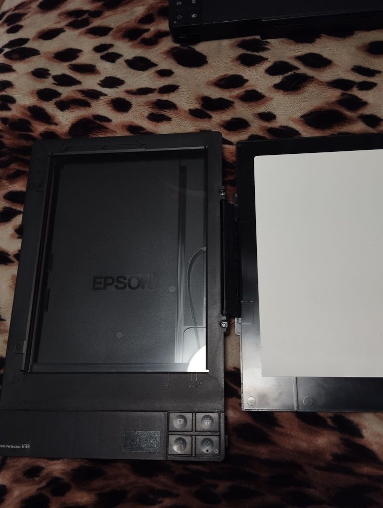 Сканери Epson Perfection V 33