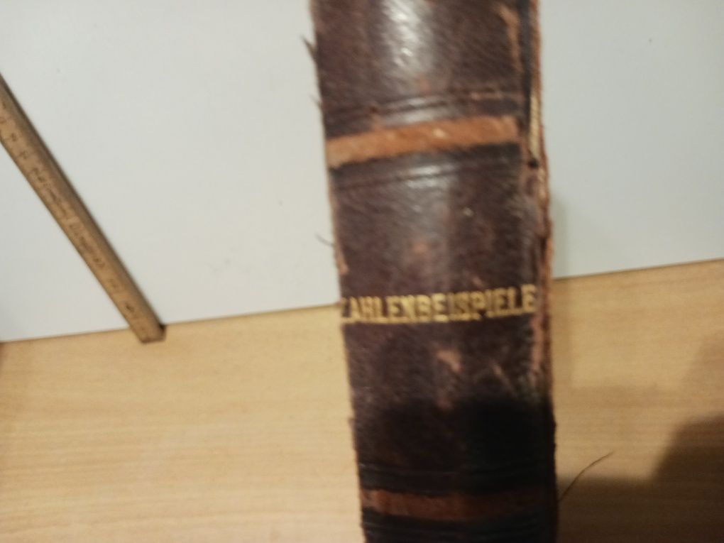 Książka Mosty i dachy 1900 niemiecka