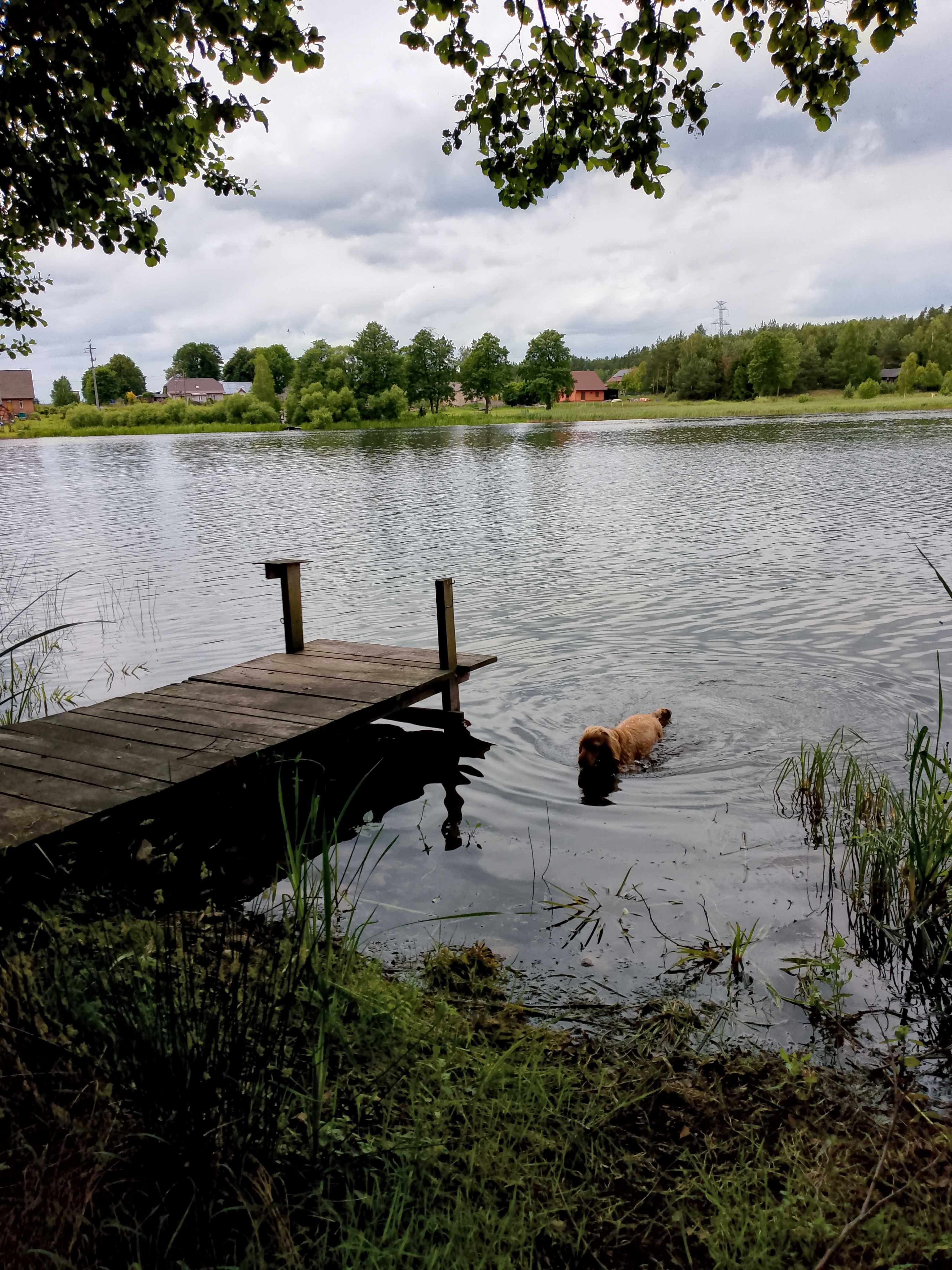 Domek Letniskowy na Kaszubach