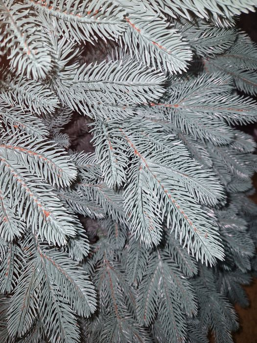 Ялинка штучна лита блакитна 1,8м Елка литая искусственная голубая 180