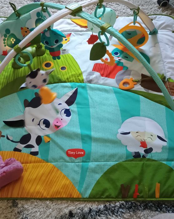 Mata edukacyjna Tiny Love Farma